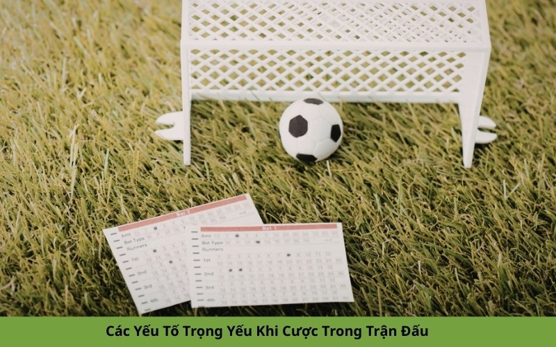 Các Yếu Tố Trọng Yếu Khi Cược Trong Trận Đấu